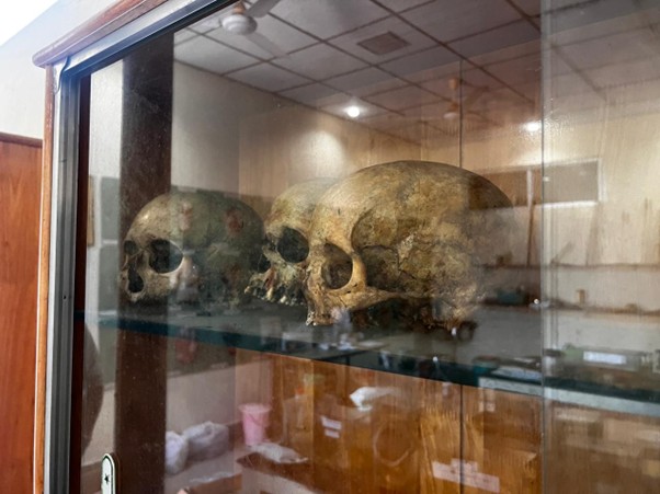 Fingerprint Analysis