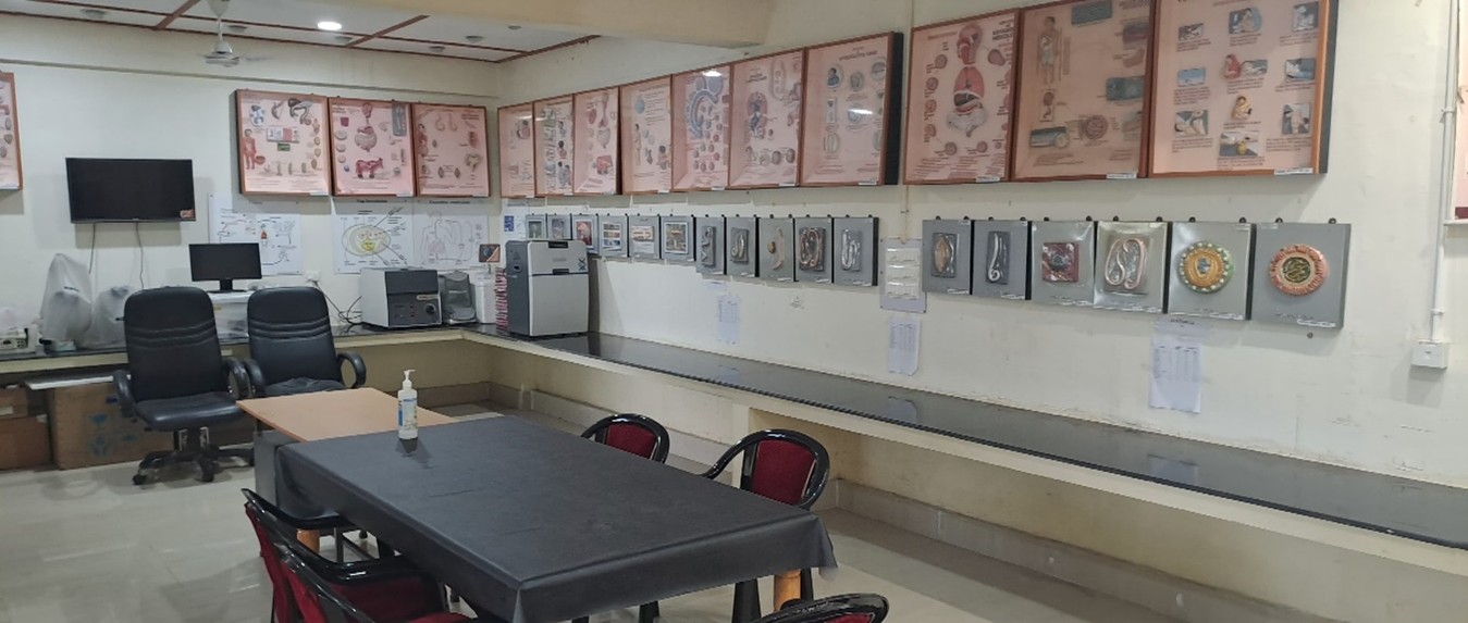 Antibiotic Sensitivity