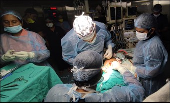 Surgical Anatomy
